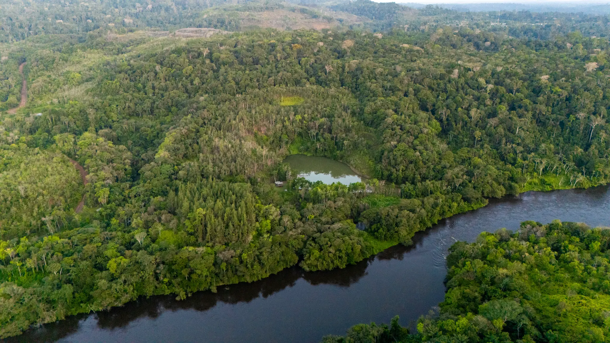 Lagoa verde da chácara cercada pela floresta amazônica