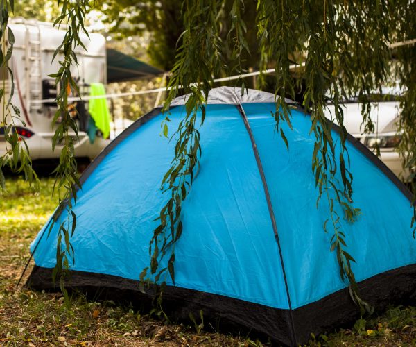 blue-tent-shadow-tree-camping